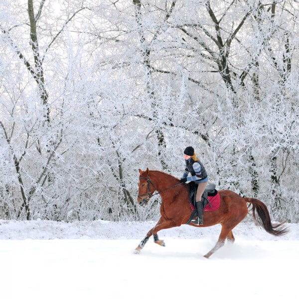 Winterreiten in traumhaft verschneiter Landschaft in Altenmarkt